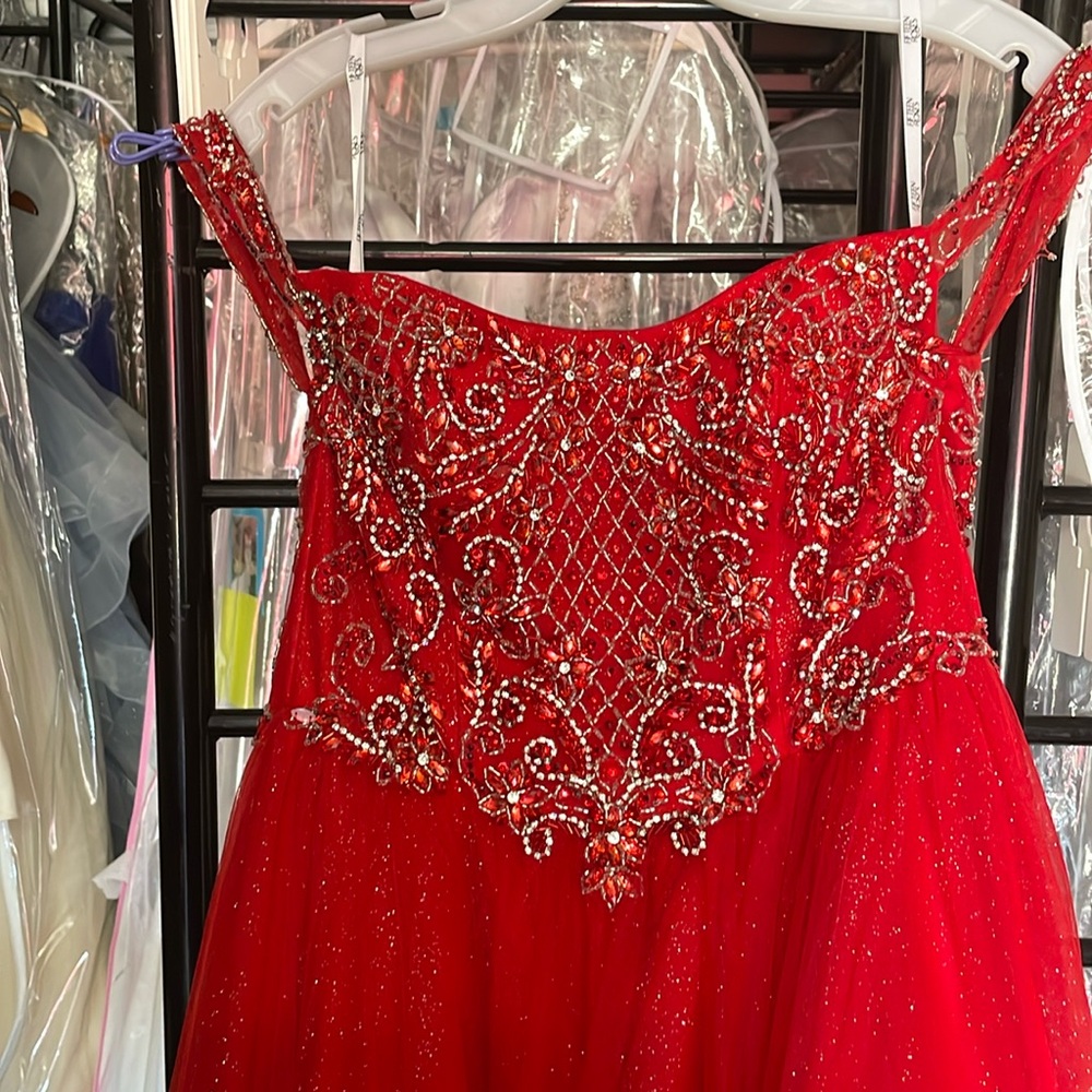 Fifteen Roses red Quinceanera Dress